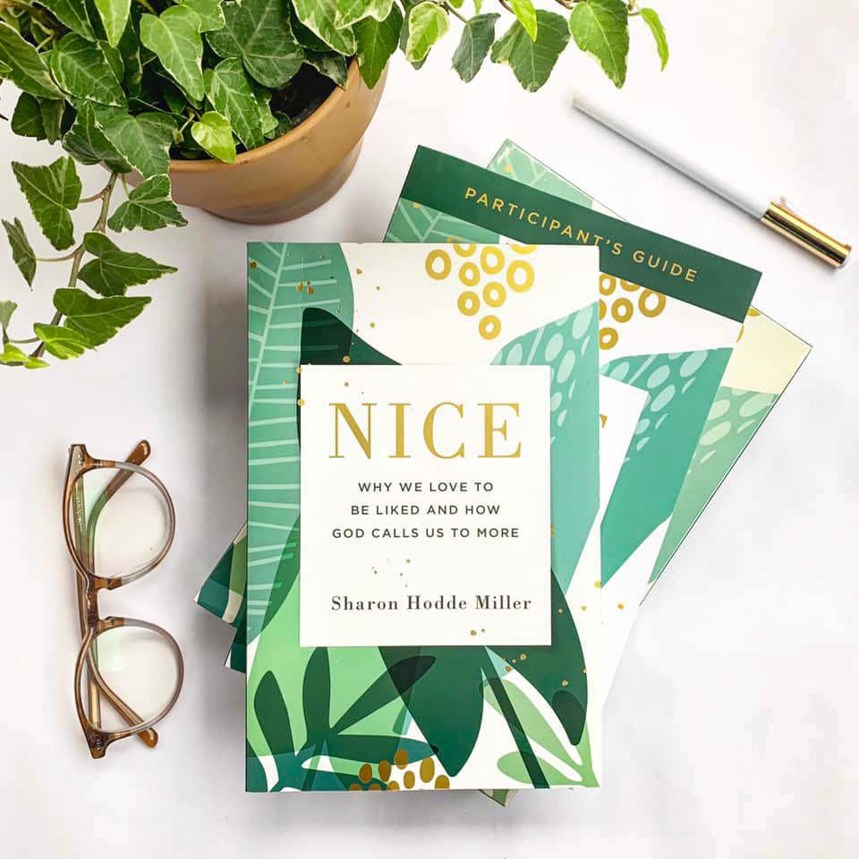 Nice - Sharon Hodde Miller